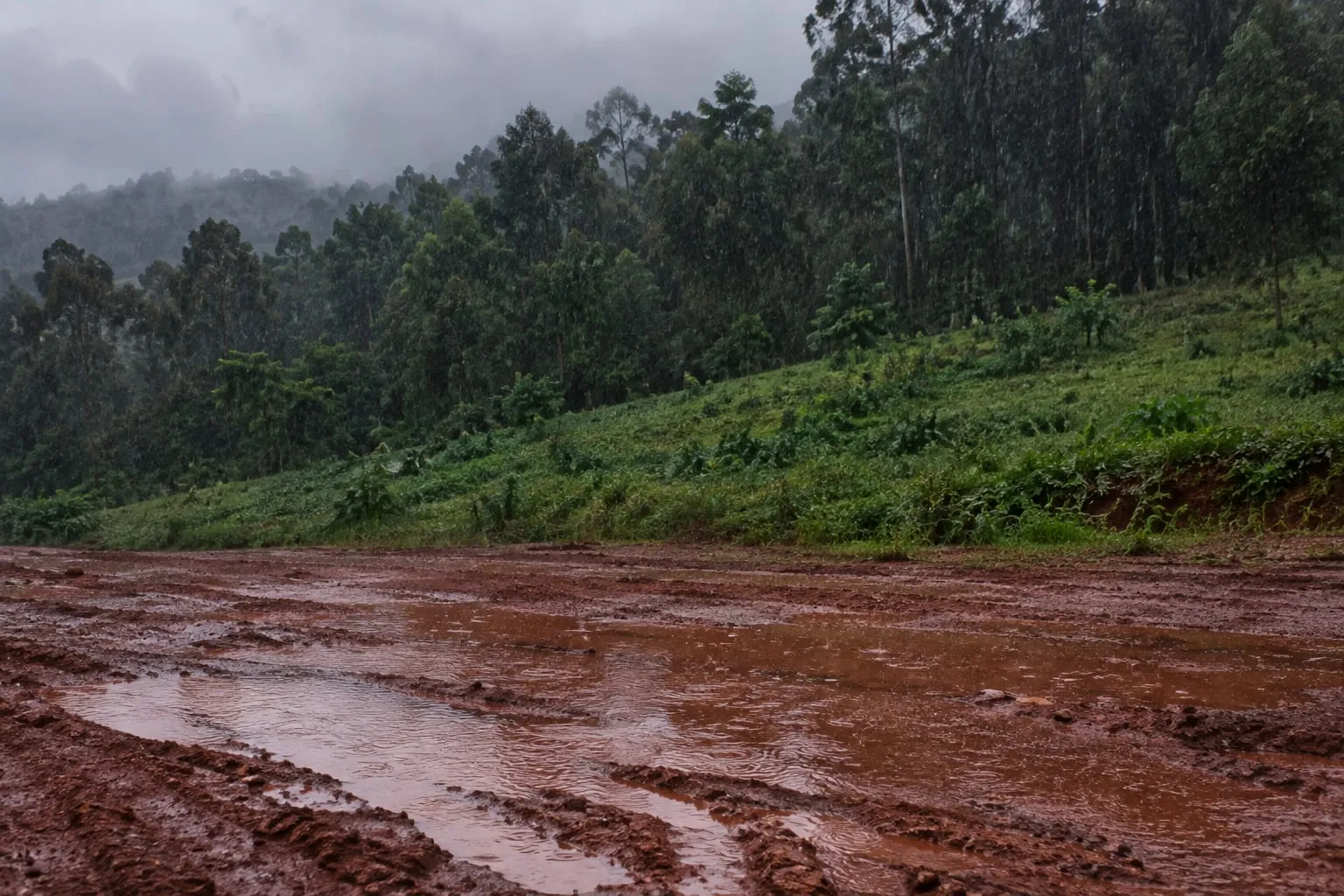 Illustrative visualisation: a rain-soaked red earth haul road cut into a green hillside in the western Kenya highlands, wheel ruts filled with standing water, forested ridge behind under low cloud