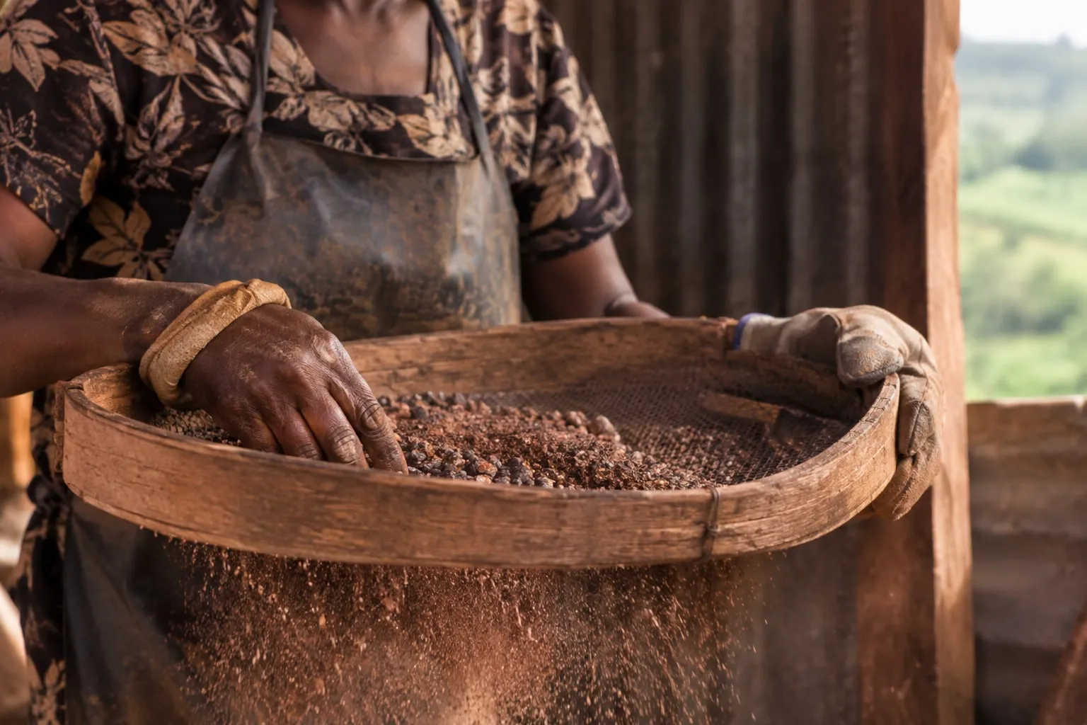Illustrative visualisation: a woman in an apron and work gloves shaking a round wooden hand sieve, fine dust falling through the mesh, green hillside visible beyond the shelter