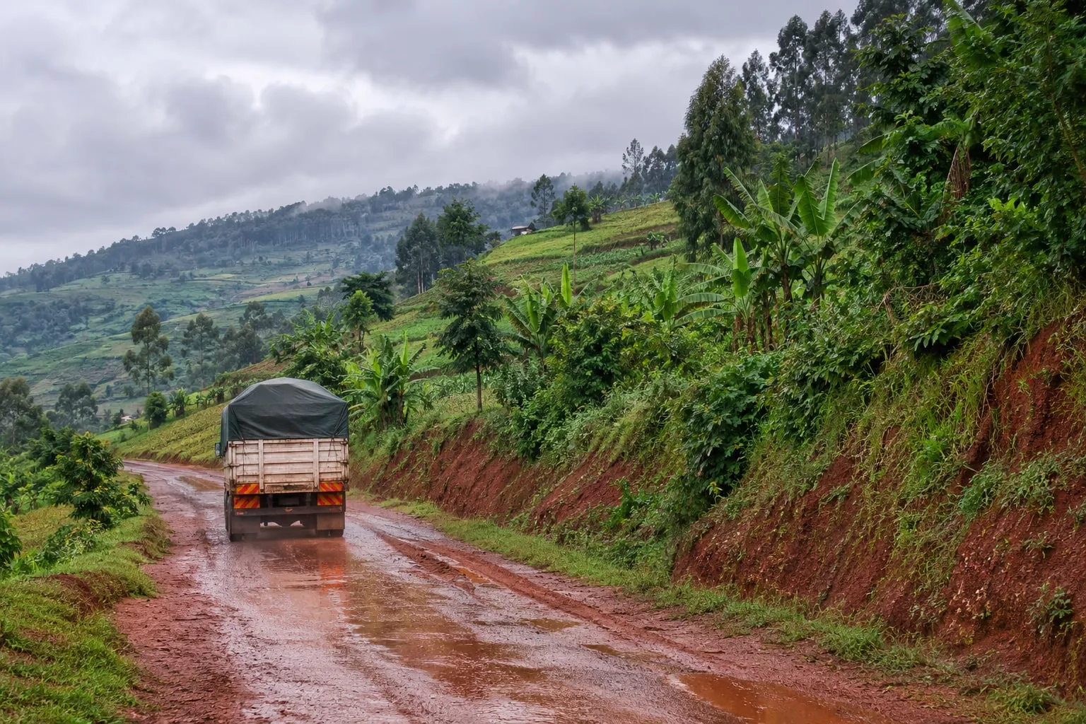 Illustrative visualisation: a sheeted flatbed lorry climbing a wet red earth road between banana and eucalyptus, cultivated hillsides rising on both sides
